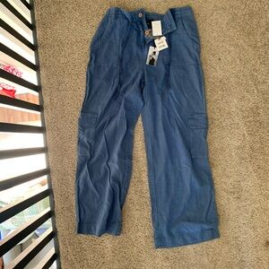 Sincerely Jules Blue Linen Cargo Pants